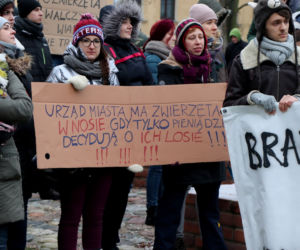 Oni mówią głosem zwierząt! Tak wygladał marsz w obronie zwierząt z Toruńskiego Schroniska [GALERIA, AUDIO]