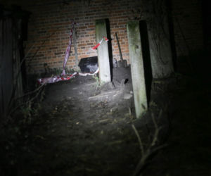 Cicierzyn - matka zakopała dzieci za domem