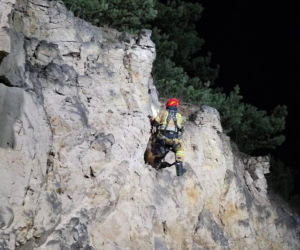 Strażacy uratowali owieczkę