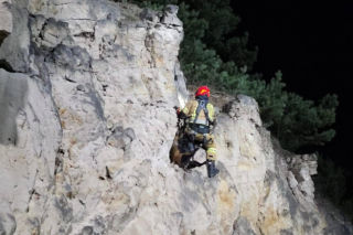 Strażacy uratowali owieczkę