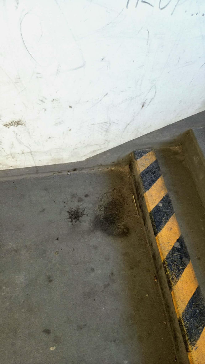 Bród i smród w tunelu pod torami w Siedlcach