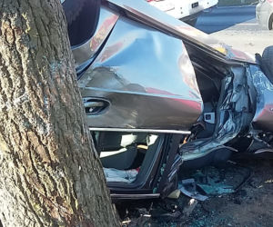 Kierowca BMW uderzył w drzewo w gminie Lubicz