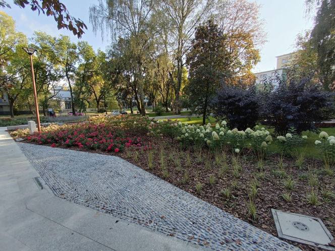 Otwarcie Skweru Uniwersyteckiego UMCS