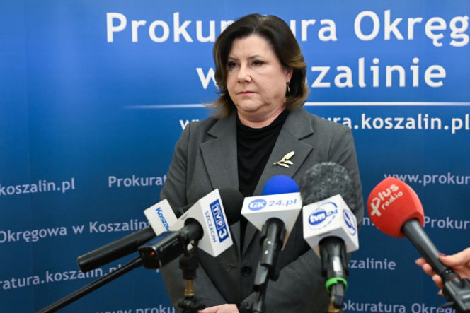 Uprowadził niemowlę. Porywacz z zarzutami