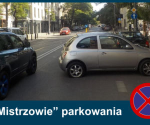 Mistrzowie Parkowania: Zobacz najbardziej kuriozalne pomysły kierowców