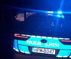 Stryjaki. Kierowca hondy uderzył w słup. Nie żyje