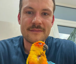 Ktoś zastrzelił papugę na osiedlu Żabiniec w Krakowie