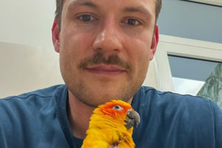 Ktoś zastrzelił papugę na osiedlu Żabiniec w Krakowie