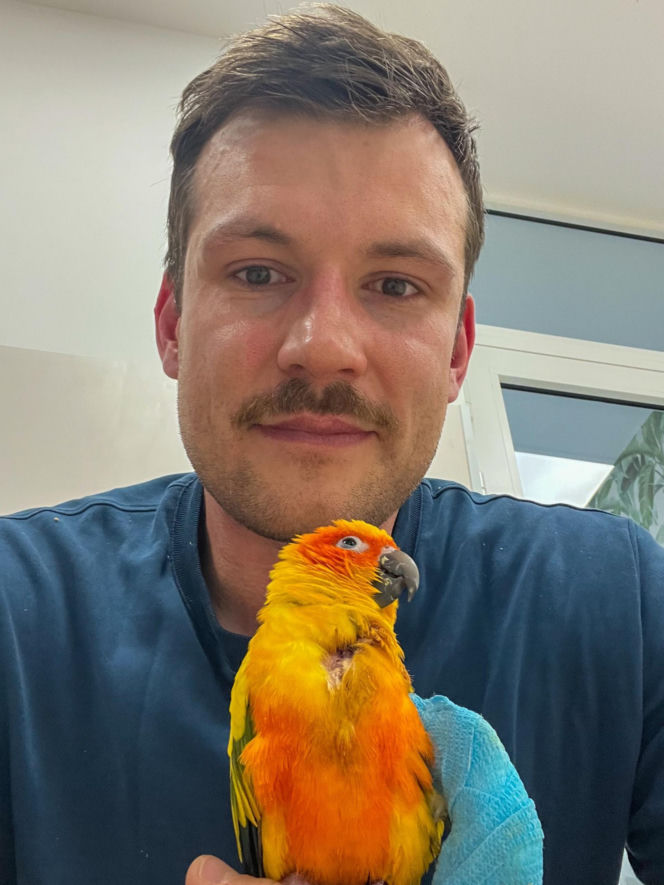 Ktoś zastrzelił papugę na osiedlu Żabiniec w Krakowie