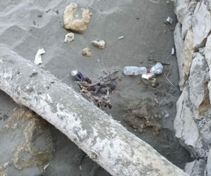 Polka przeżyła koszmar w Czarnogórze. „W morzu dryfowały fekalia, a plaże były pełne śmieci”