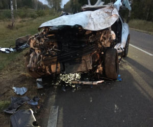 Białogrądy. Kierowca renault uderzył w drzewo. Tyle zostało z auta [ZDJĘCIA]
