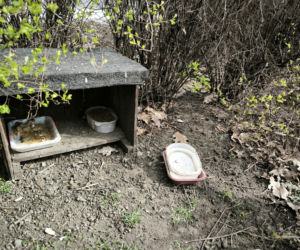 Śmietnisko przy Alternatywie