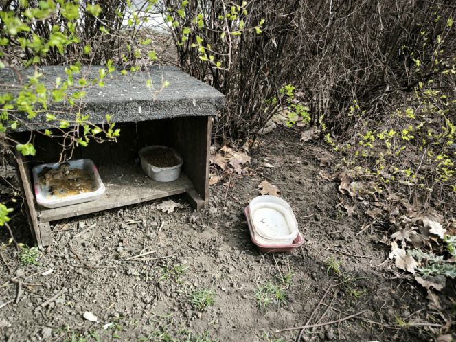 Śmietnisko przy "Alternatywie"