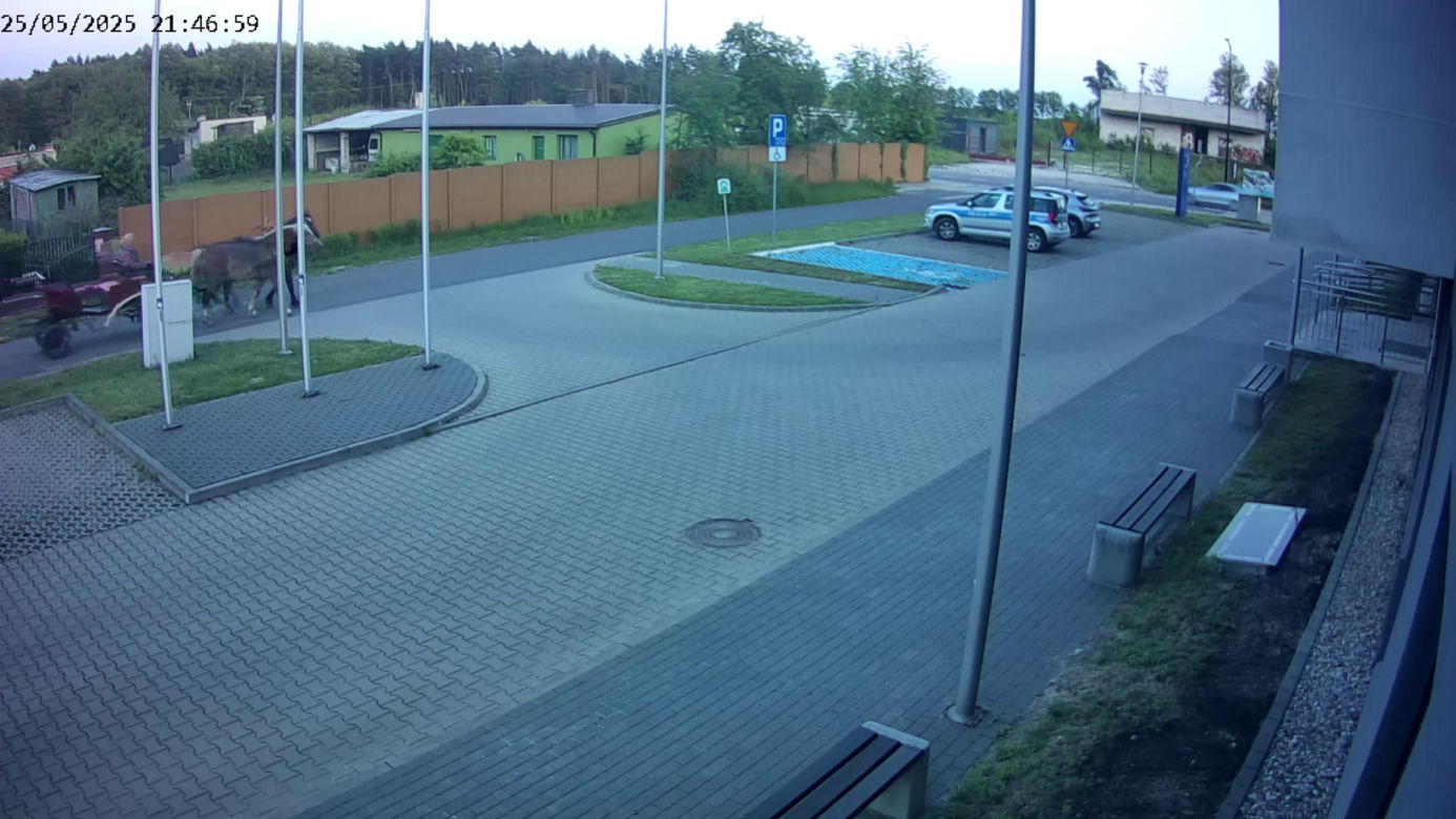 Poddębice. Wóz konny na parkingu komendy. Kierowca nietrzeźwy i z dożywotnim zakazem [ZDJĘCIA]. 