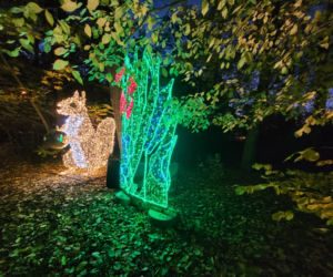 Otwarcie parku iluminacji w Poznaniu