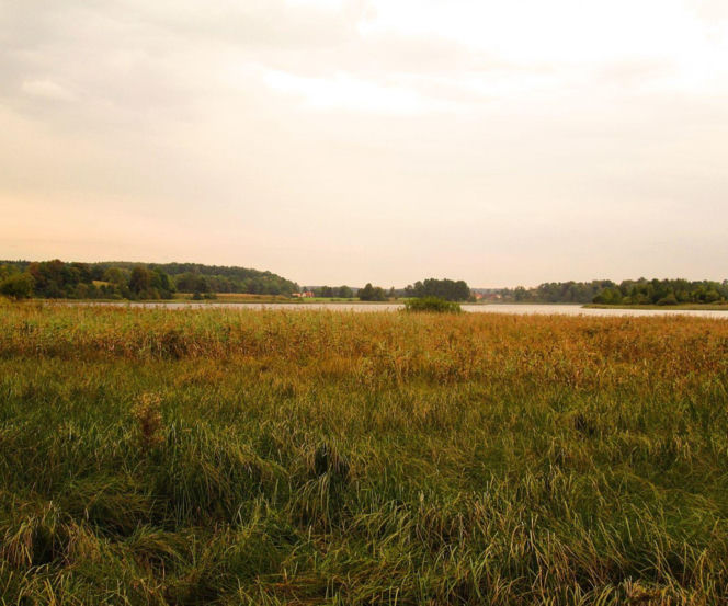 Najlepsza gmina z całego woj. warmińsko-mazurskiego. Oto wyniki nowego rankingu