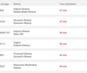 Nawet 580 minut opóźnienia! Pociągi totalnie sparaliżowane przez atak zimy