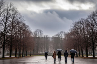Pogodowy rollercoaster w Legnicy 20.11.2025. Czy to już zwiastun prawdziwej zimy?