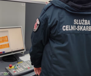W paczce zamiast ubrań były drewniane klocki... z tajemniczym nadzieniem! Niecodzienne odkrycie na poczcie w Szczecinie
