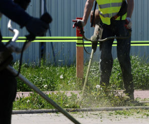 Warszawa wraca do koszenia trawników. Wielka akcja w Warszawie