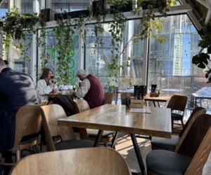 Edyta Folwarska i Maciej Pela w restauracji