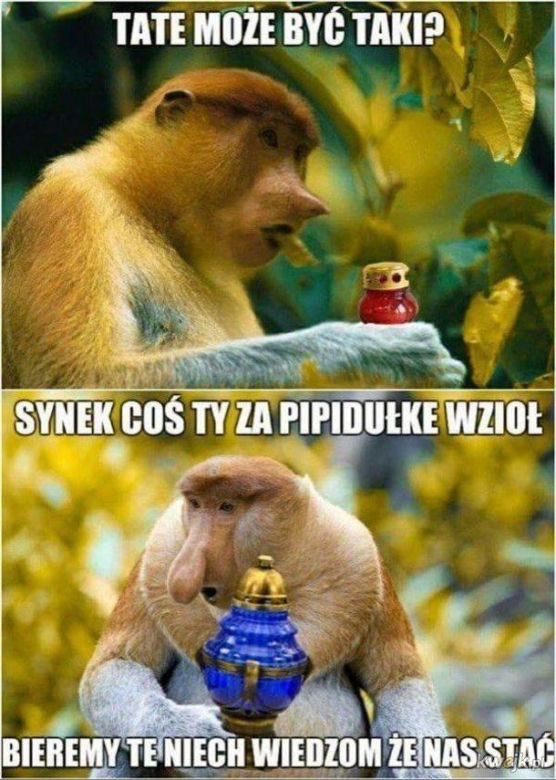 Wszystkich Świętych 2023. Zobaczcie najlepsze memy na 1 listopada! 
