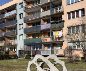 Przeplotnia Żubr (1957)