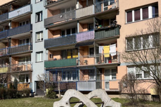 Przeplotnia Żubr (1957)