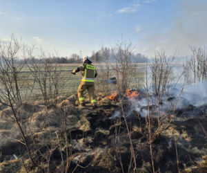 Wiosenna plaga: Pożary traw. Na zdjęciach akcja gaśnicza w Nowych Żukowicach