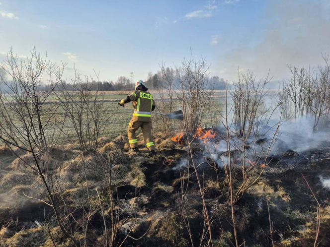 Wiosenna plaga: Pożary traw. Na zdjęciach akcja gaśnicza w Nowych Żukowicach