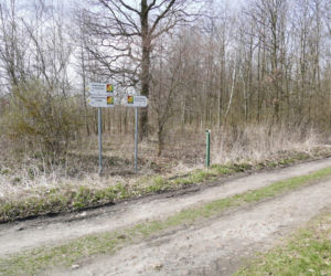 Śmierć Marcina K. po interwencji policji