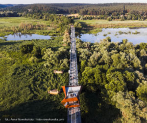 Most Europejski na Odrze w Siekierkach