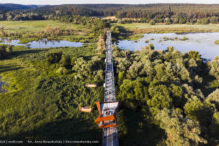 Most Europejski na Odrze w Siekierkach