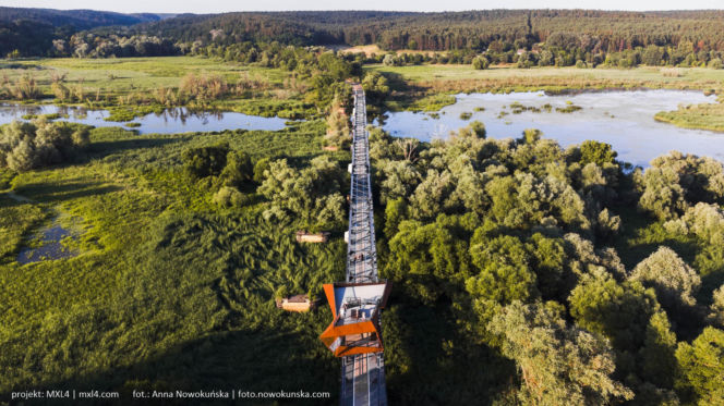 Most Europejski na Odrze w Siekierkach