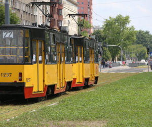 Torowisko na Grochowskiej w końcu pokrył rozchodnik