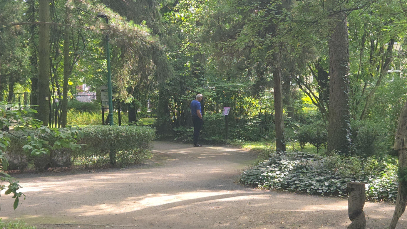 Letni spacer w zielonym sercu Bydgoszczy. Ogród Botaniczny UKW zaprasza!