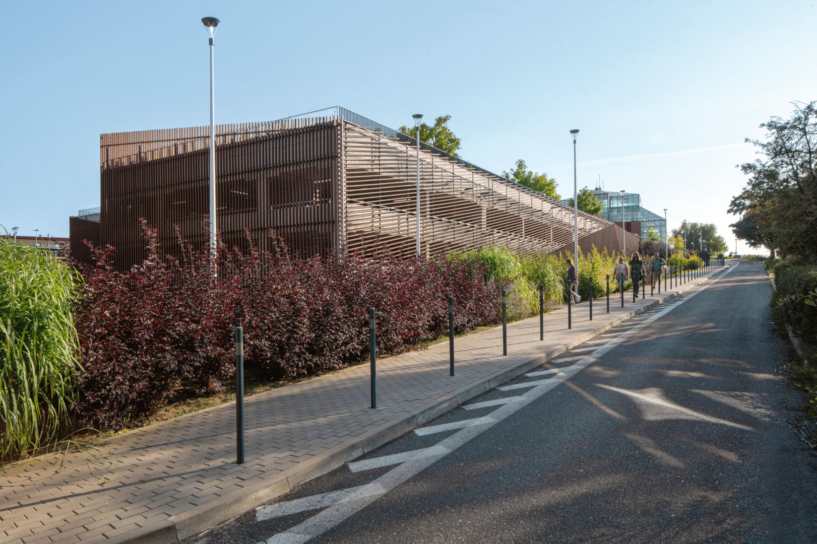 Sky Park w Zielonej Górze 13