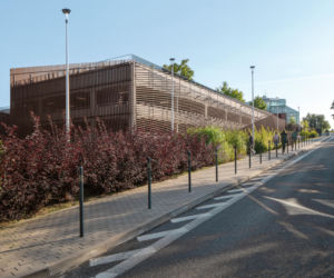 Sky Park w Zielonej Górze 13