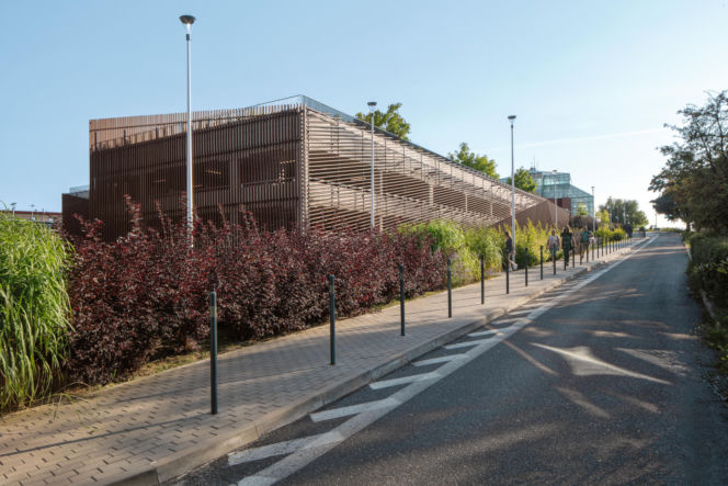 Sky Park w Zielonej Górze 13