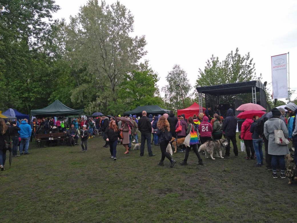 Piknik Przyjaciół Schroniska