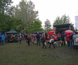 Piknik Przyjaciół Schroniska