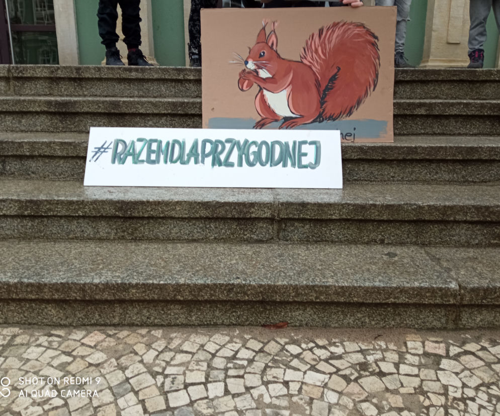 Wycinka drzew - protest