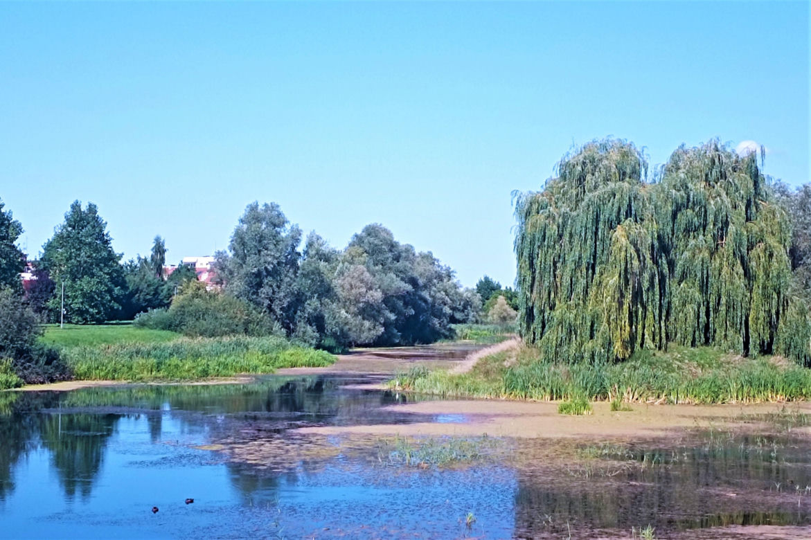 Zanieczyszczone Jezioro Słoneczne