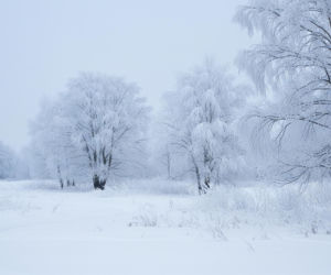 Ekstremalny mróz na Podkarpaciu. Gdzie odnotowano najniższe temperatury?