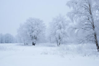 Ekstremalny mróz na Podkarpaciu. Gdzie odnotowano najniższe temperatury?