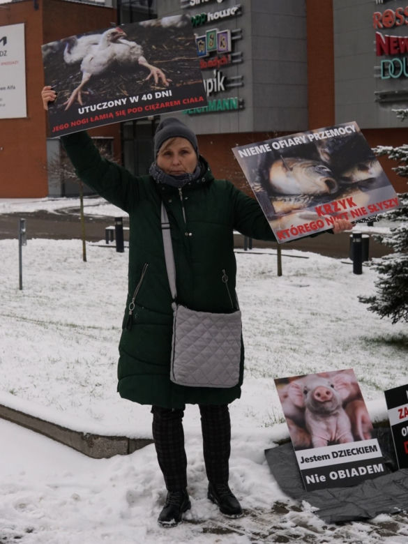 W Grudziądzu manifestowali aktywiści na rzecz zwierząt