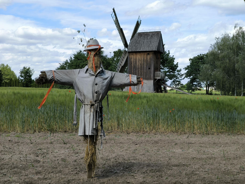 Skansen w Wolsztynie