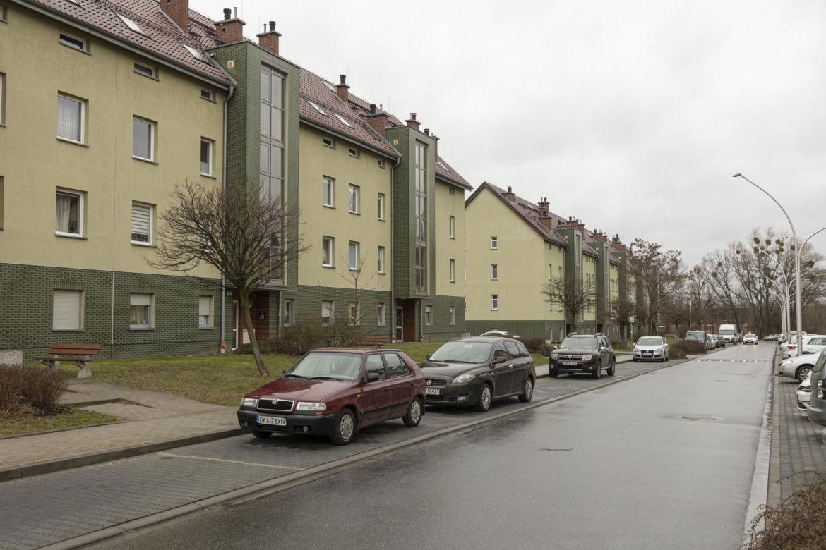 Zagryziona sarna, biegające luzem groźne psy. Psychoza na Brochowie we Wrocławiu 