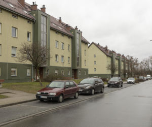 Zagryziona sarna, biegające luzem groźne psy. Psychoza na Brochowie we Wrocławiu 
