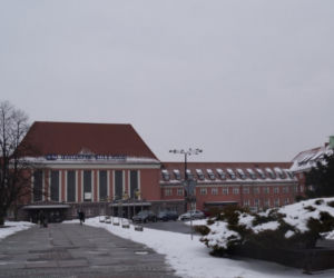 Gliwice: Miasto wycina drzewa przed dworcem PKP. Mieszkańcy protestują [ZDJĘCIA]